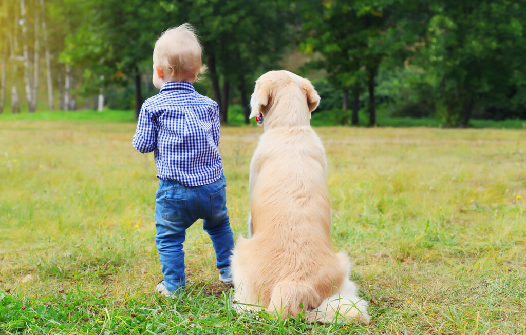 Dijete i pas