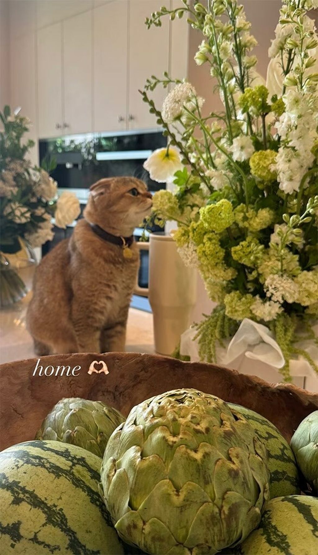 Dom Kylie Jenner - 1