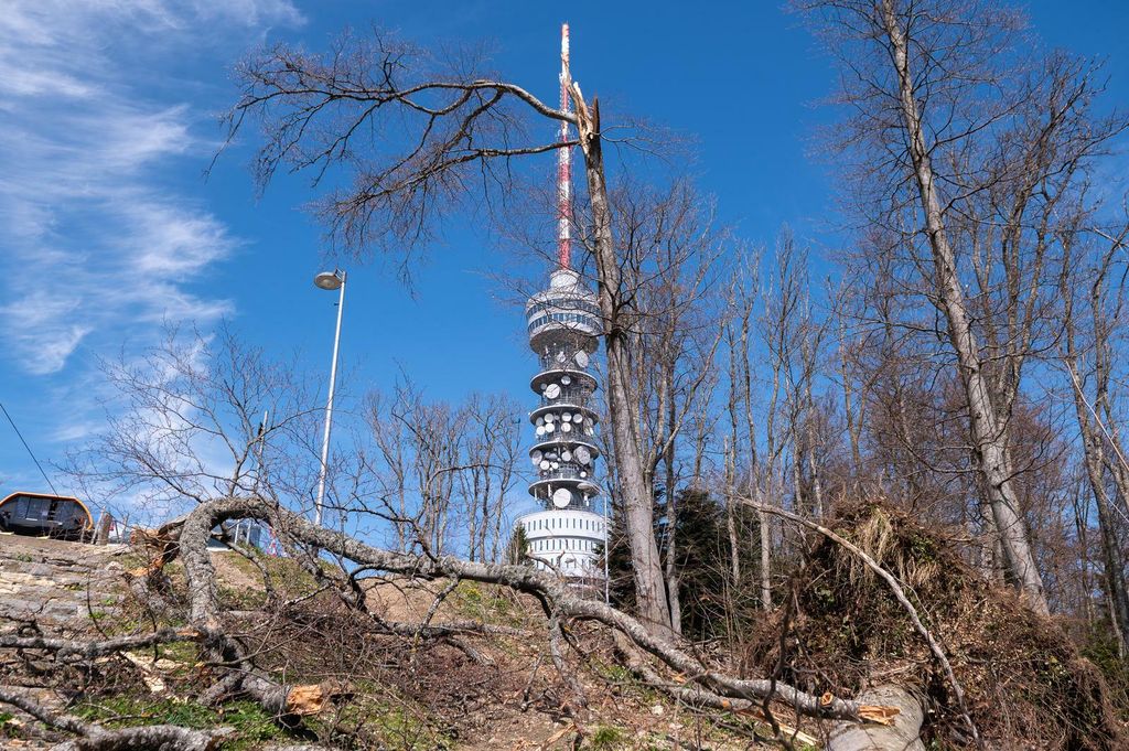 Medvednica dva tjedna nakon velike oluje - 3