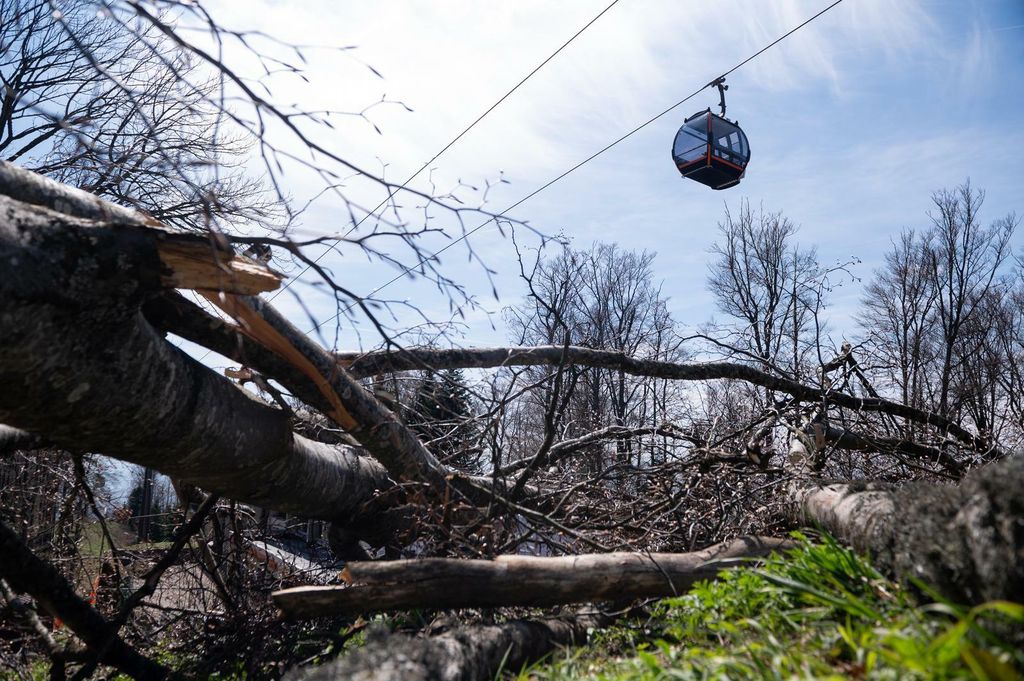 Medvednica dva tjedna nakon velike oluje - 3