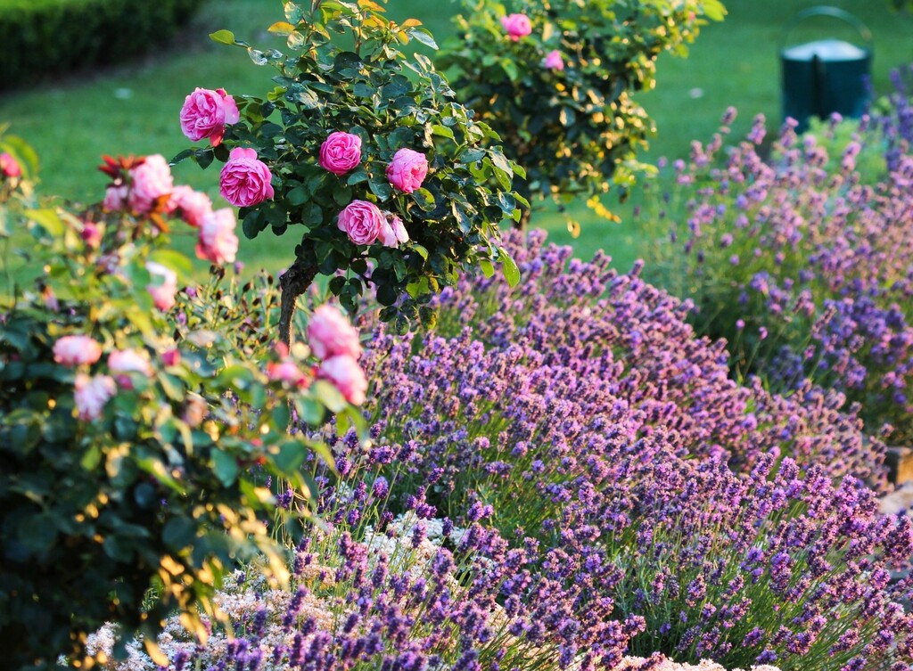 Travanjsko orezivanje je ključno