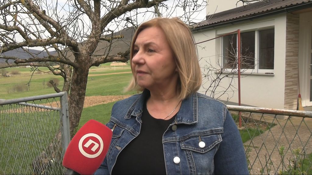 Briga za palijativne pacijente