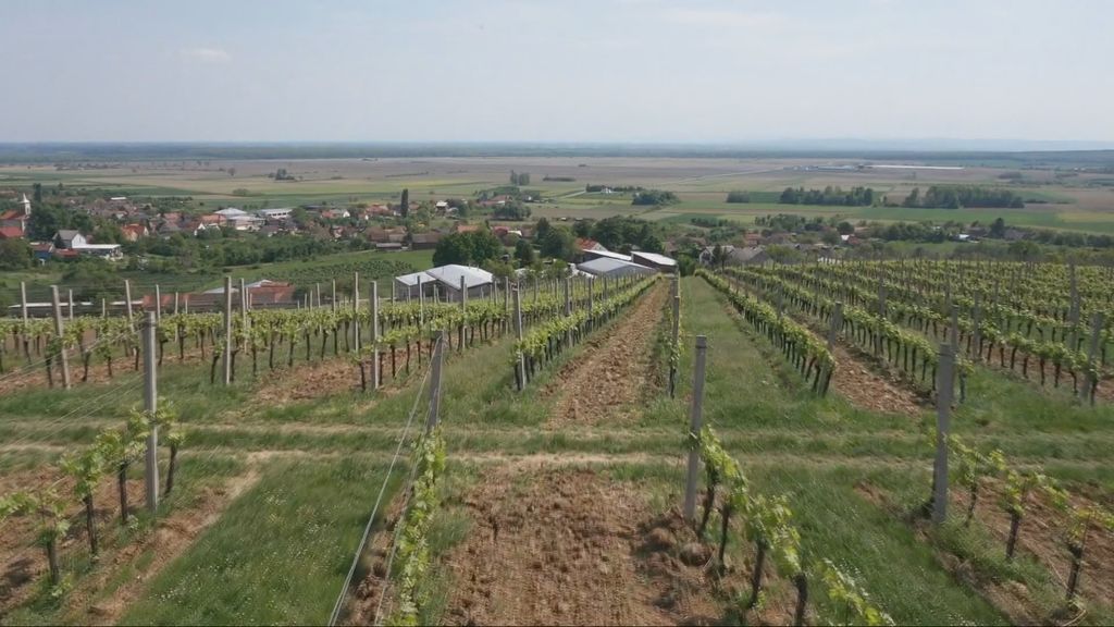 Povratak mladih na selo