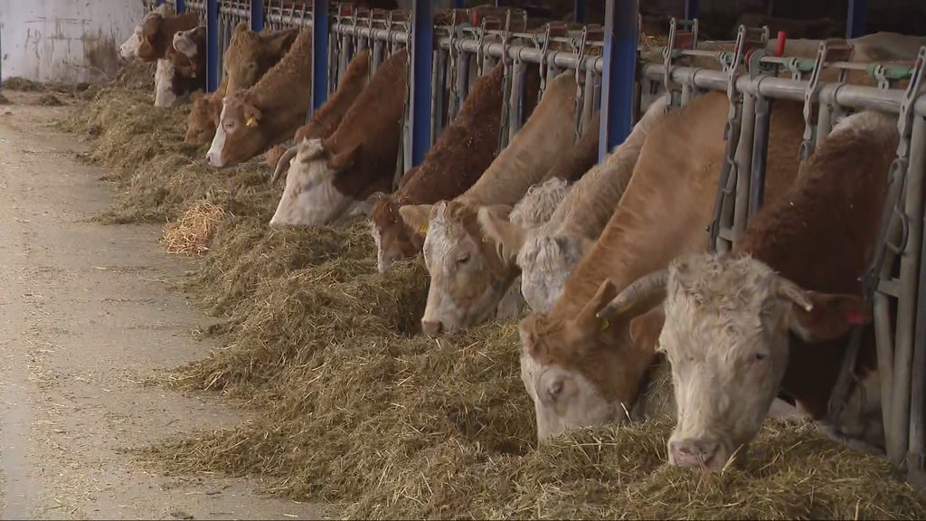 Poljoprivrednici u strahu zbog Mercosura