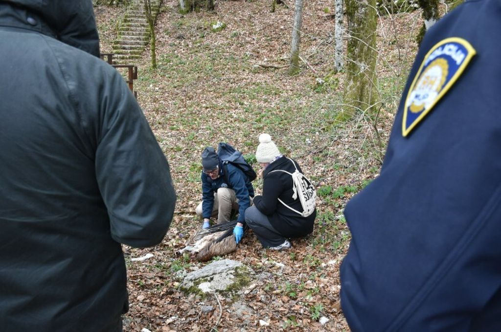 Praktična vježba istrage slučaja