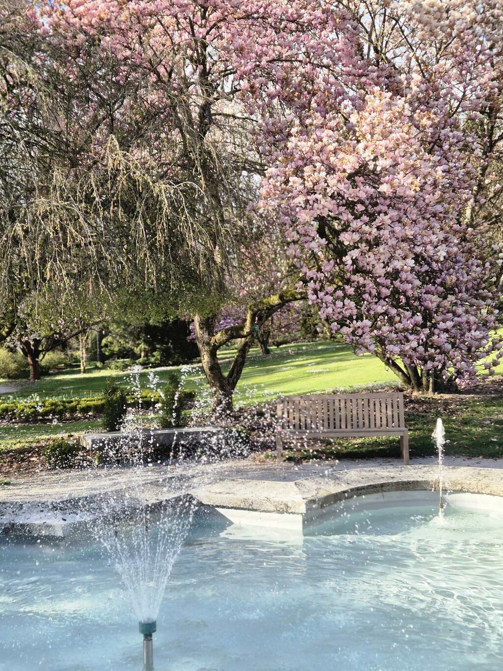 Arboretum Volčji Potok