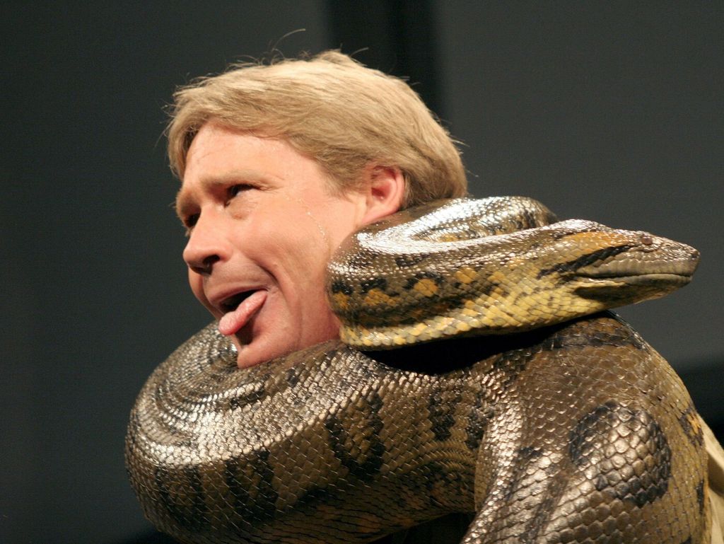 Steve Irwin - 1