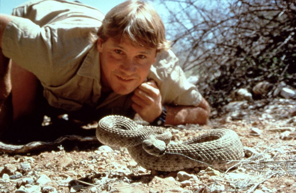 Steve Irwin - 5