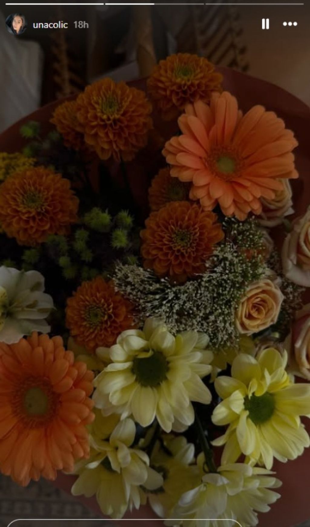 Una Čolić na Instagramu - 1