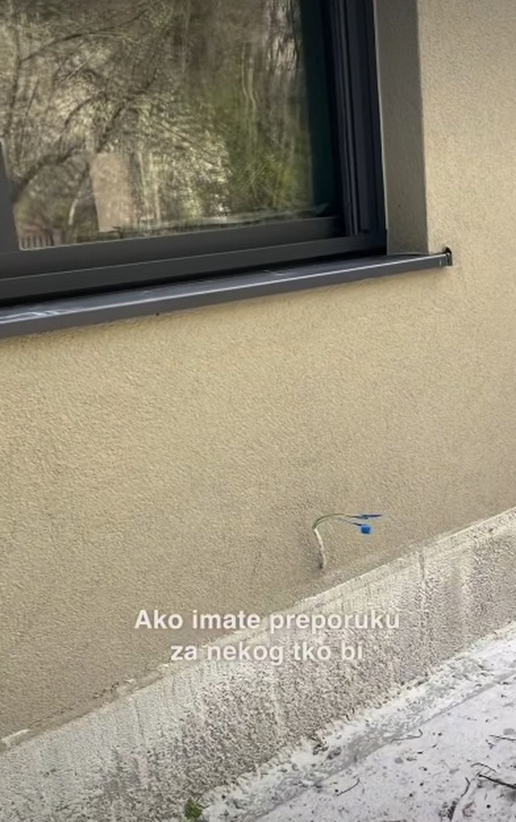 Ida Prester na Instagramu