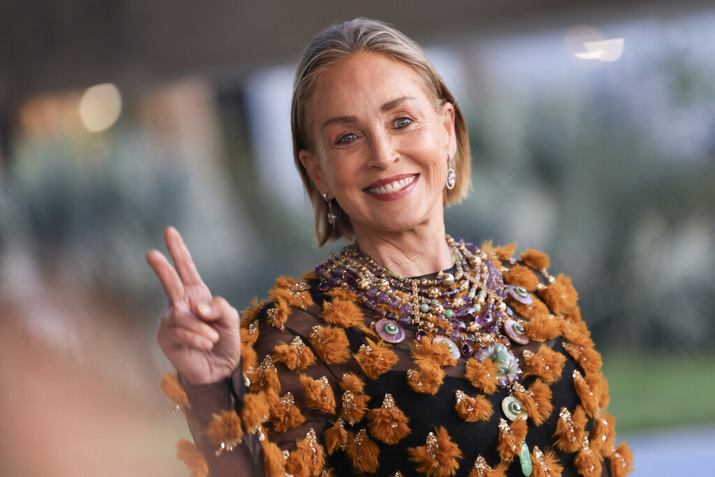 Sharon Stone na otvorenju novih David Geffen Galleries u sklopu LACMA muzeja u Los Angelesu
