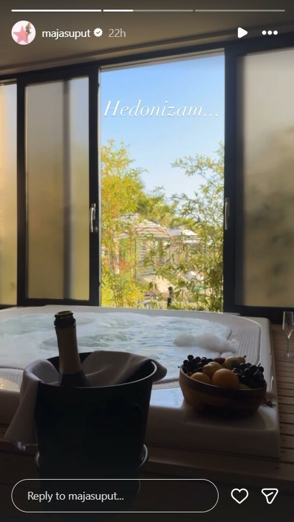 Maja Šuput na Instagramu