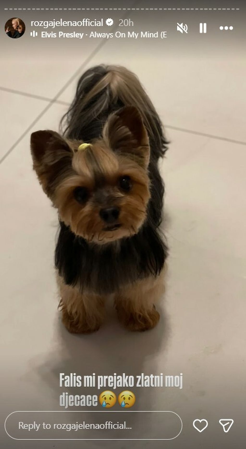 Jelena Rozga na Instagramu