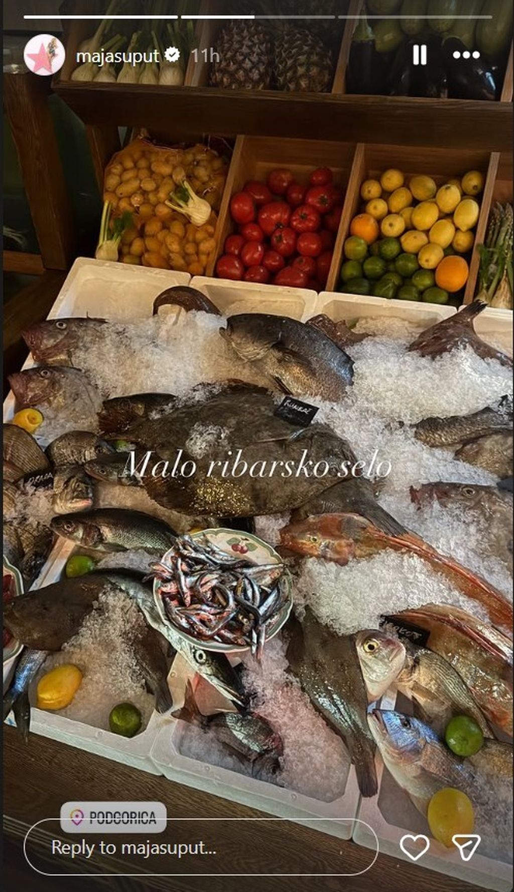 Maja Šuput na Instagramu