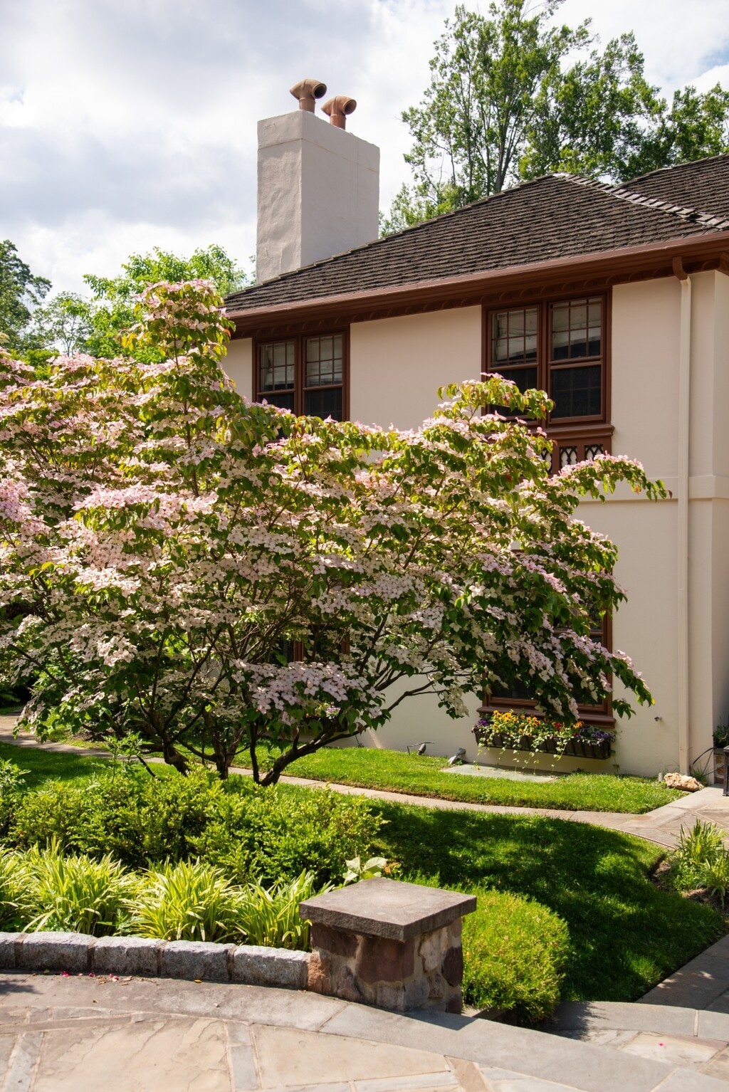 10 najljepših stabala za vrt