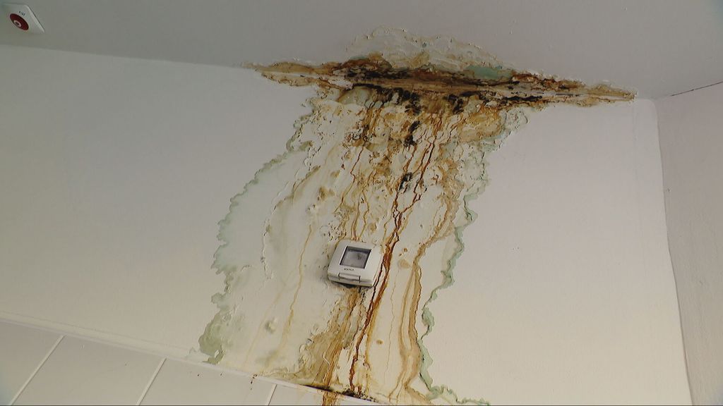 Studentska menza - 5