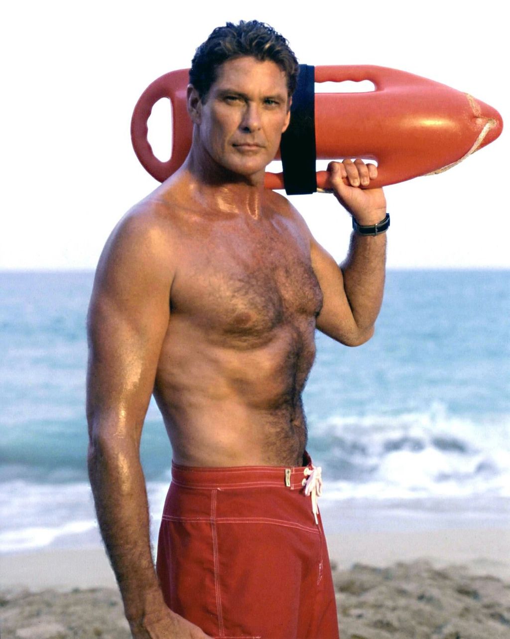 David Hasselhoff