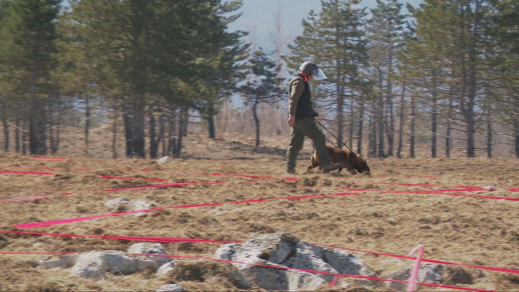 Pirotehničari bez posla