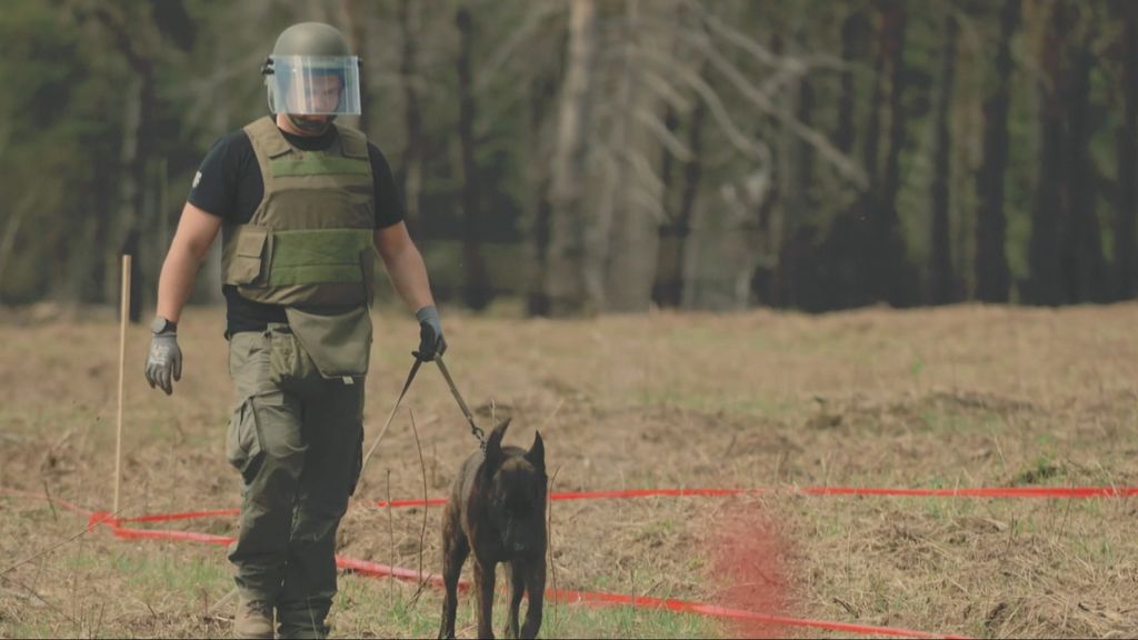 Pirotehničari bez posla