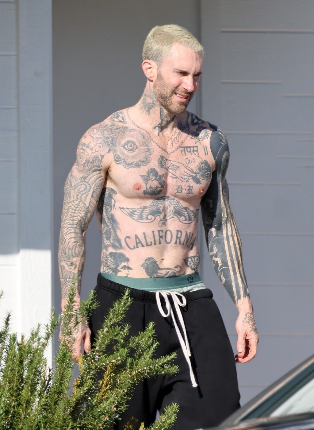 Adam Levine