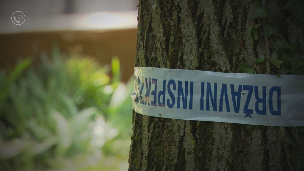 Bageri na Varaždinskom jezeru - 4