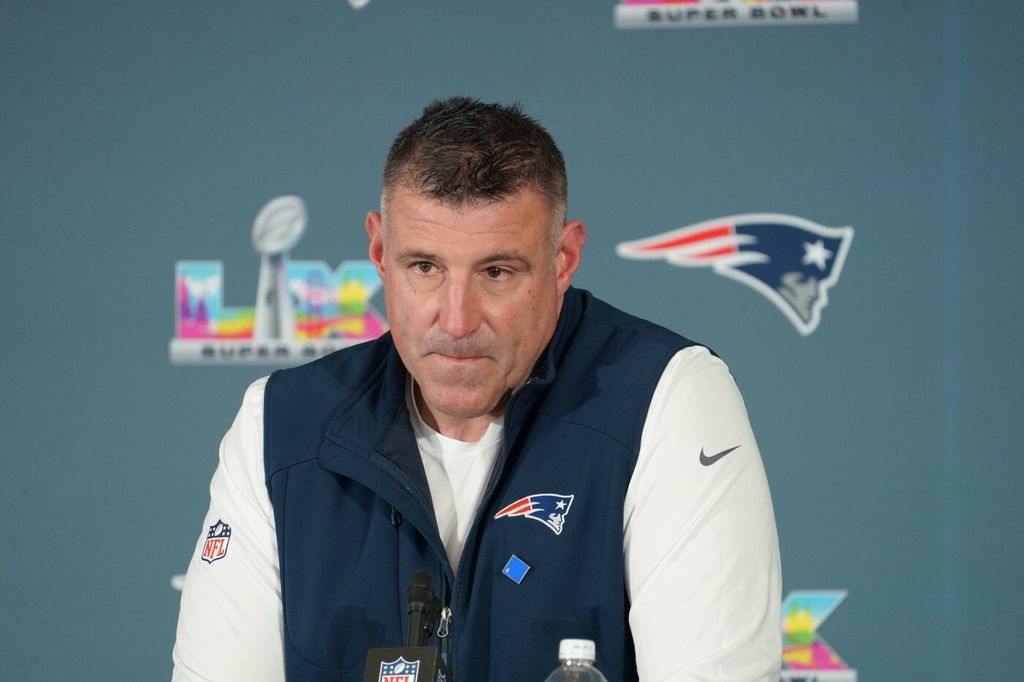 Mike Vrabel - 4