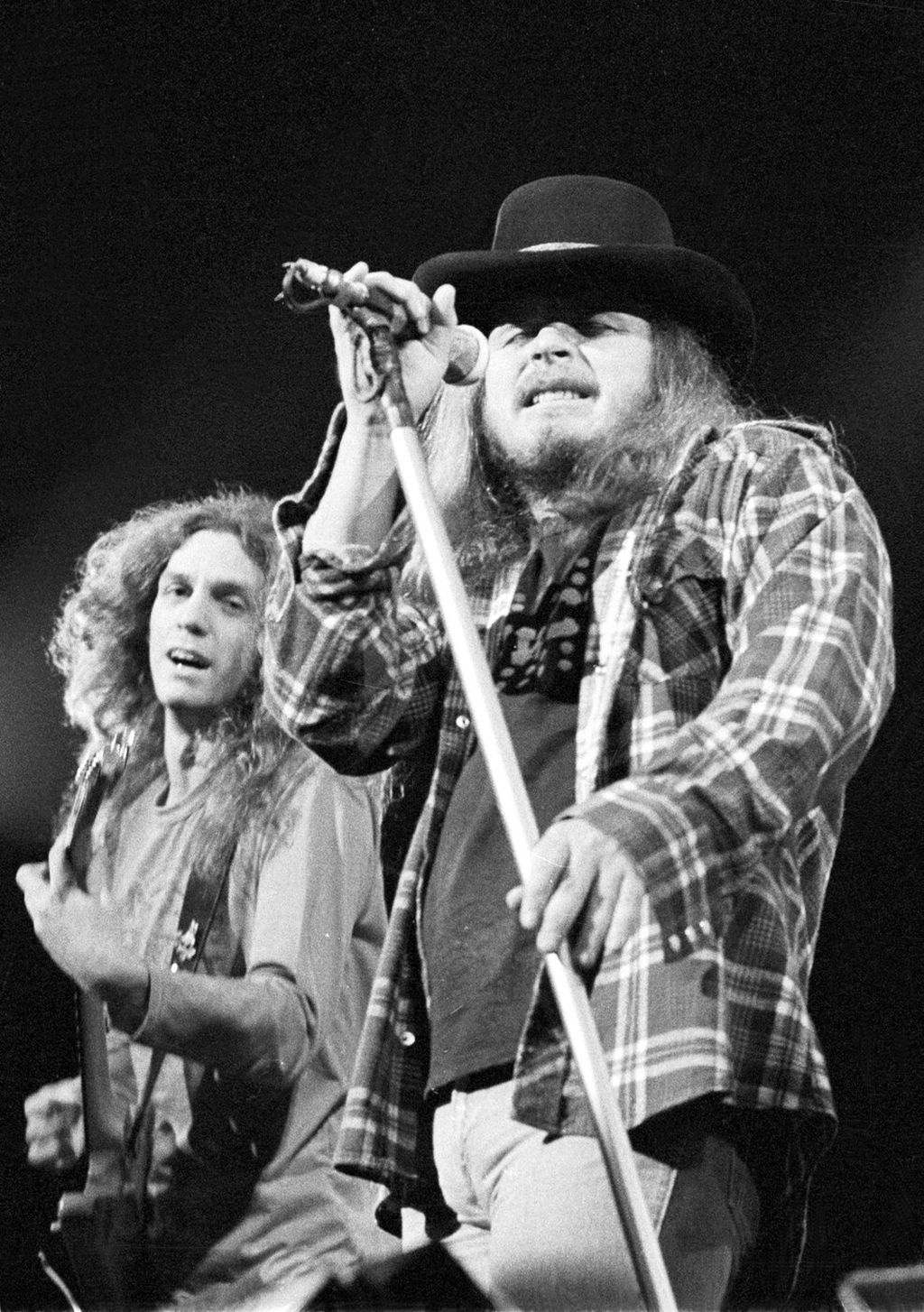 Lynyrd Skynyrd - 2