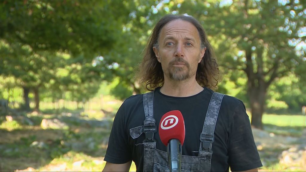 Istarske ovce i koze