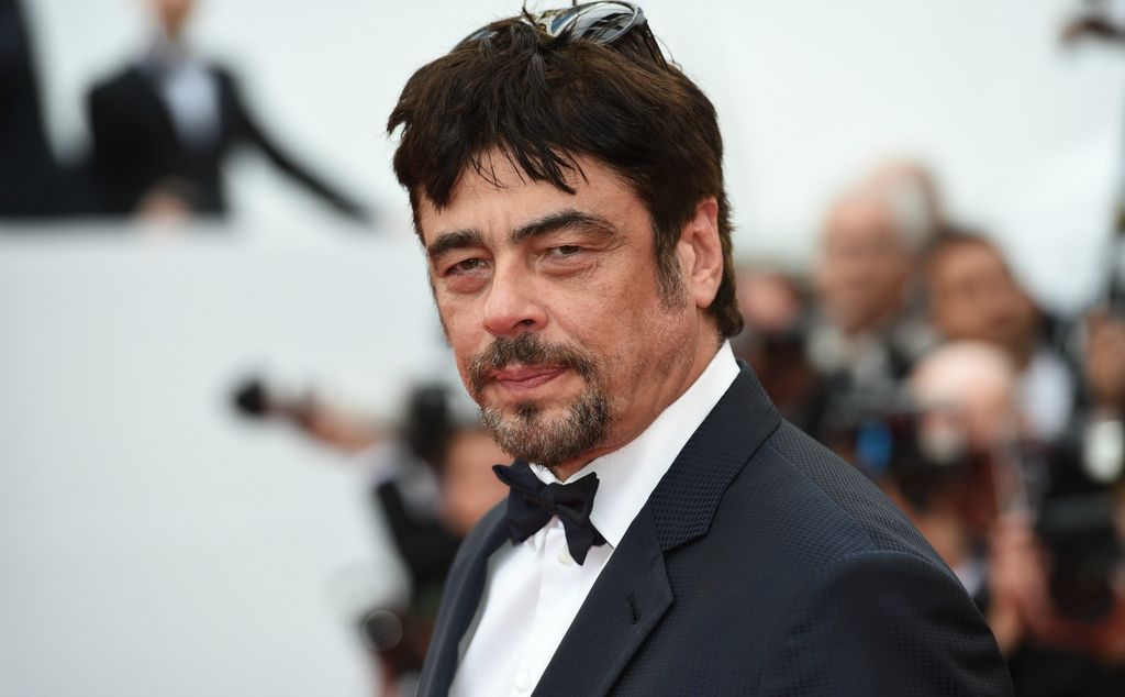 Benicio del Toro