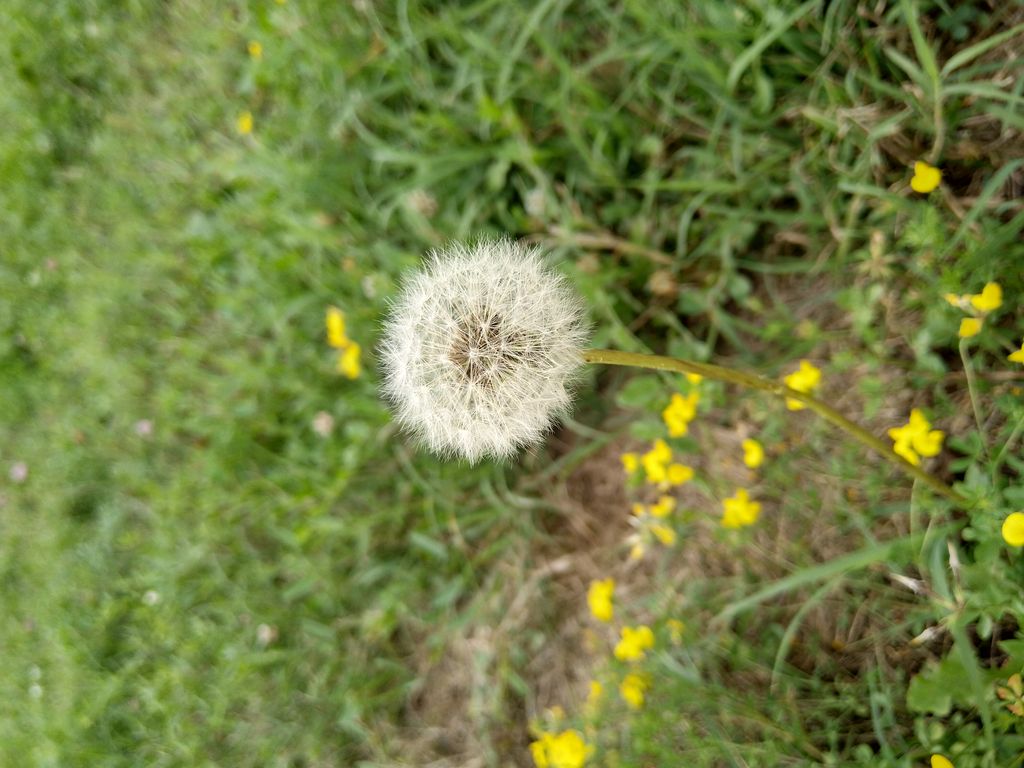 Nokia 8 Sirocco (Foto: HMD Global)