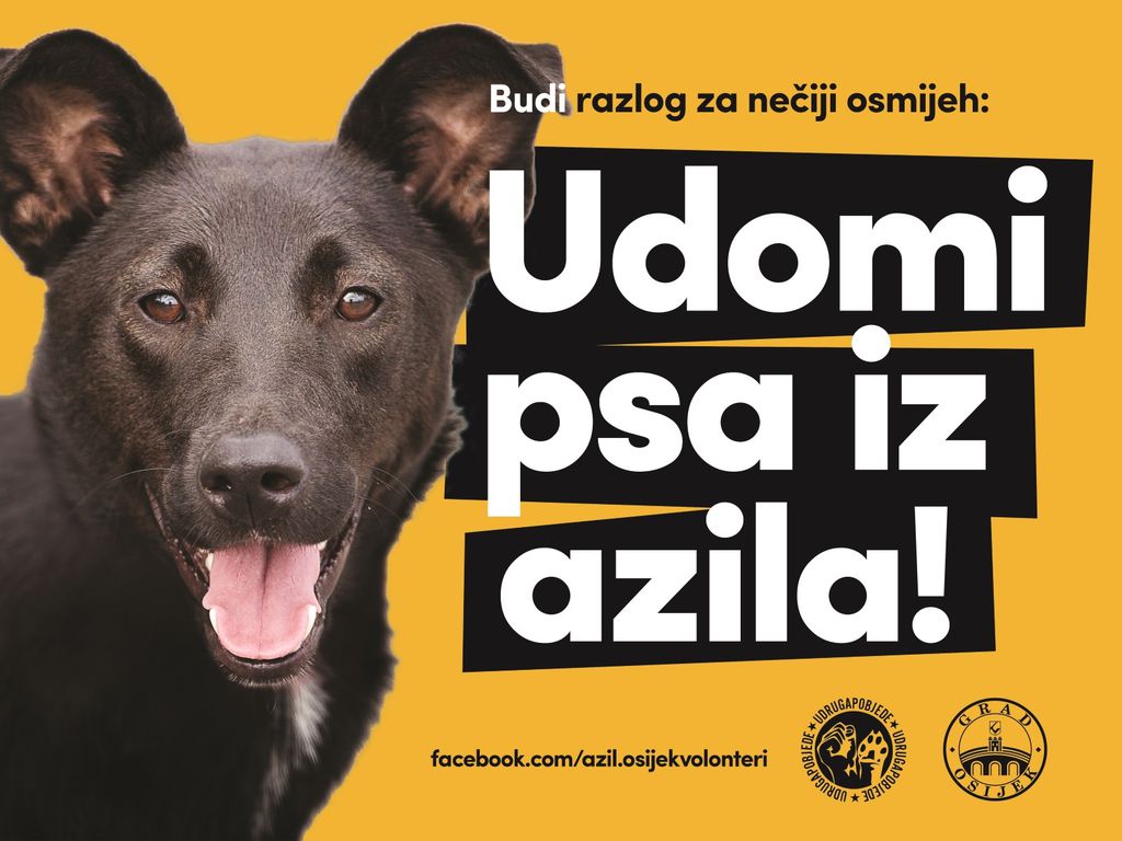Kampanja \'Budi razlog za nečiji osmijeh - Udomi psa iz azila!\' udruge Pobjede iz Osijeka - 4