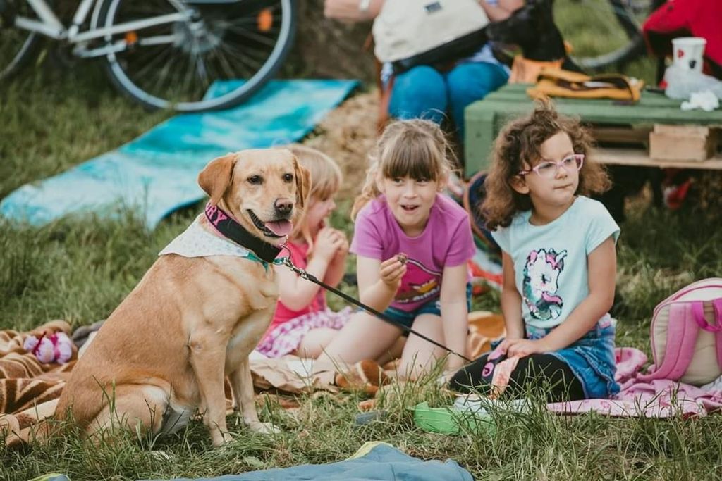 Kampanja \'Budi razlog za nečiji osmijeh - Udomi psa iz azila!\' udruge Pobjede iz Osijeka - 5