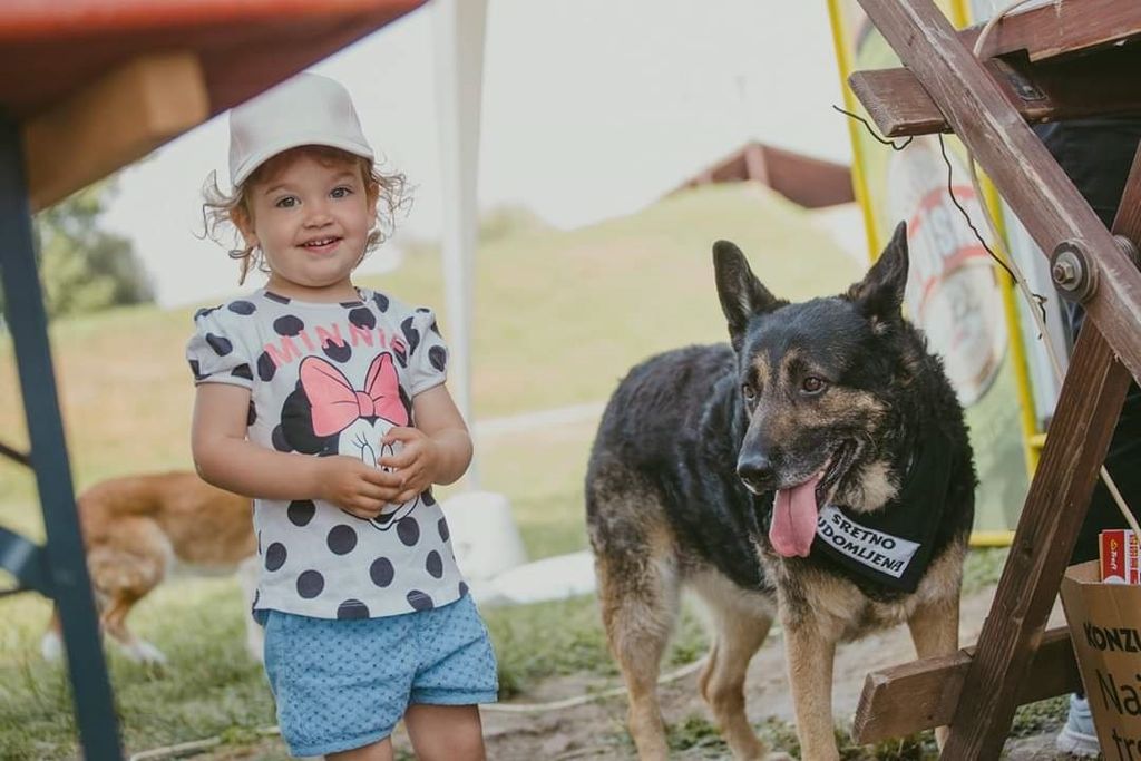 Kampanja \'Budi razlog za nečiji osmijeh - Udomi psa iz azila!\' udruge Pobjede iz Osijeka - 6