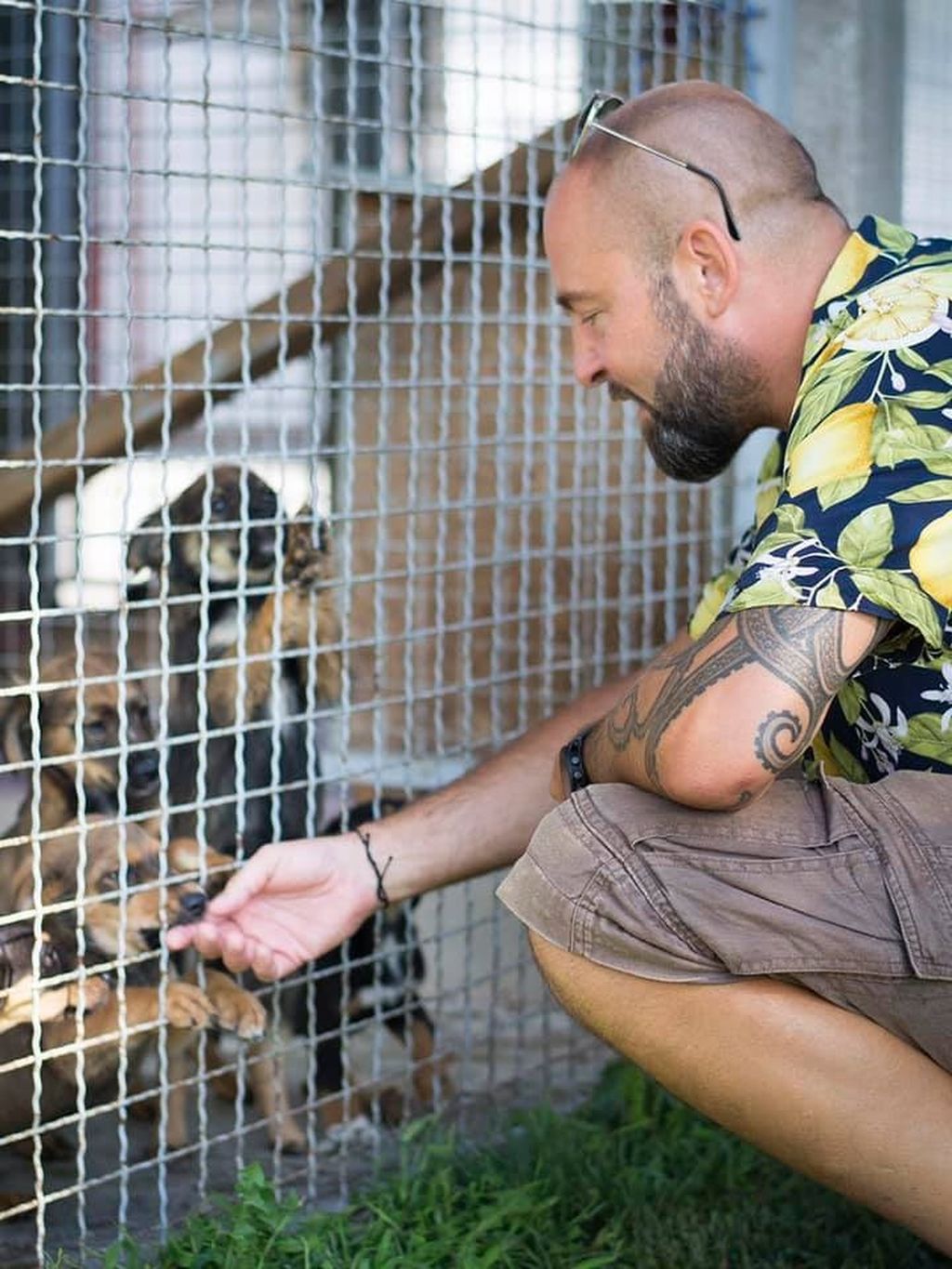 Domagoj Jakopović Ribafish na svoj 49. rođendan posjetio je Sklonište u Dumovcu