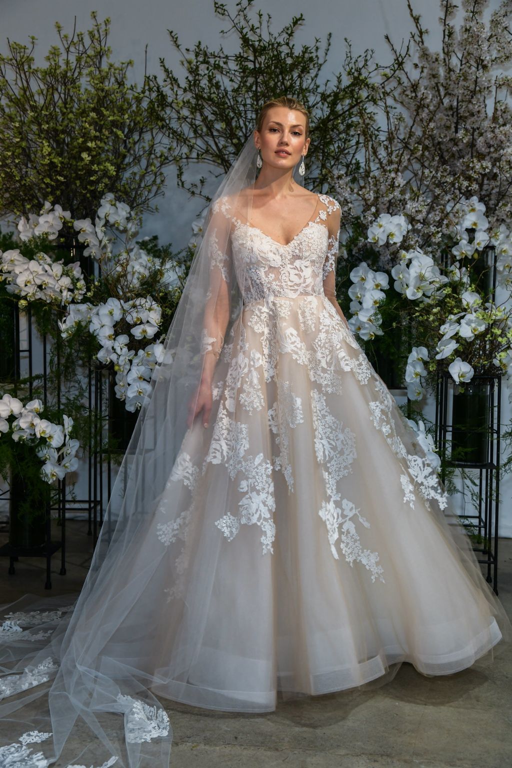 Anne Barge, proljeće/ljeto 2020. godine - 1