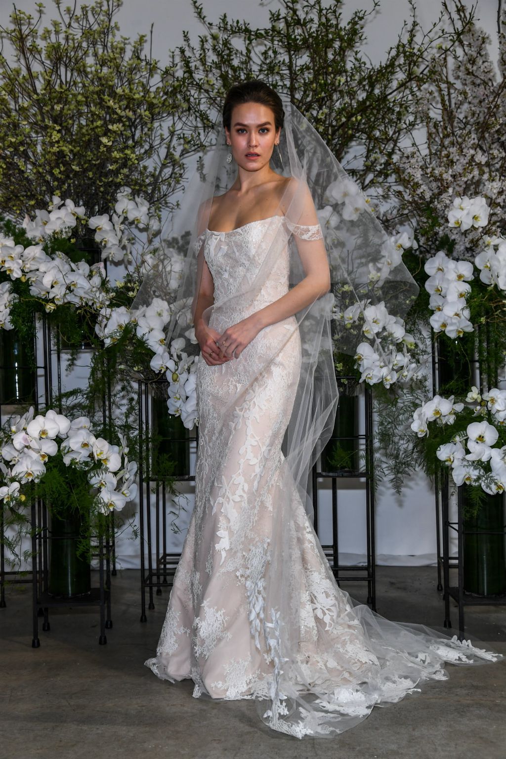 Anne Barge, proljeće/ljeto 2020. godine - 6