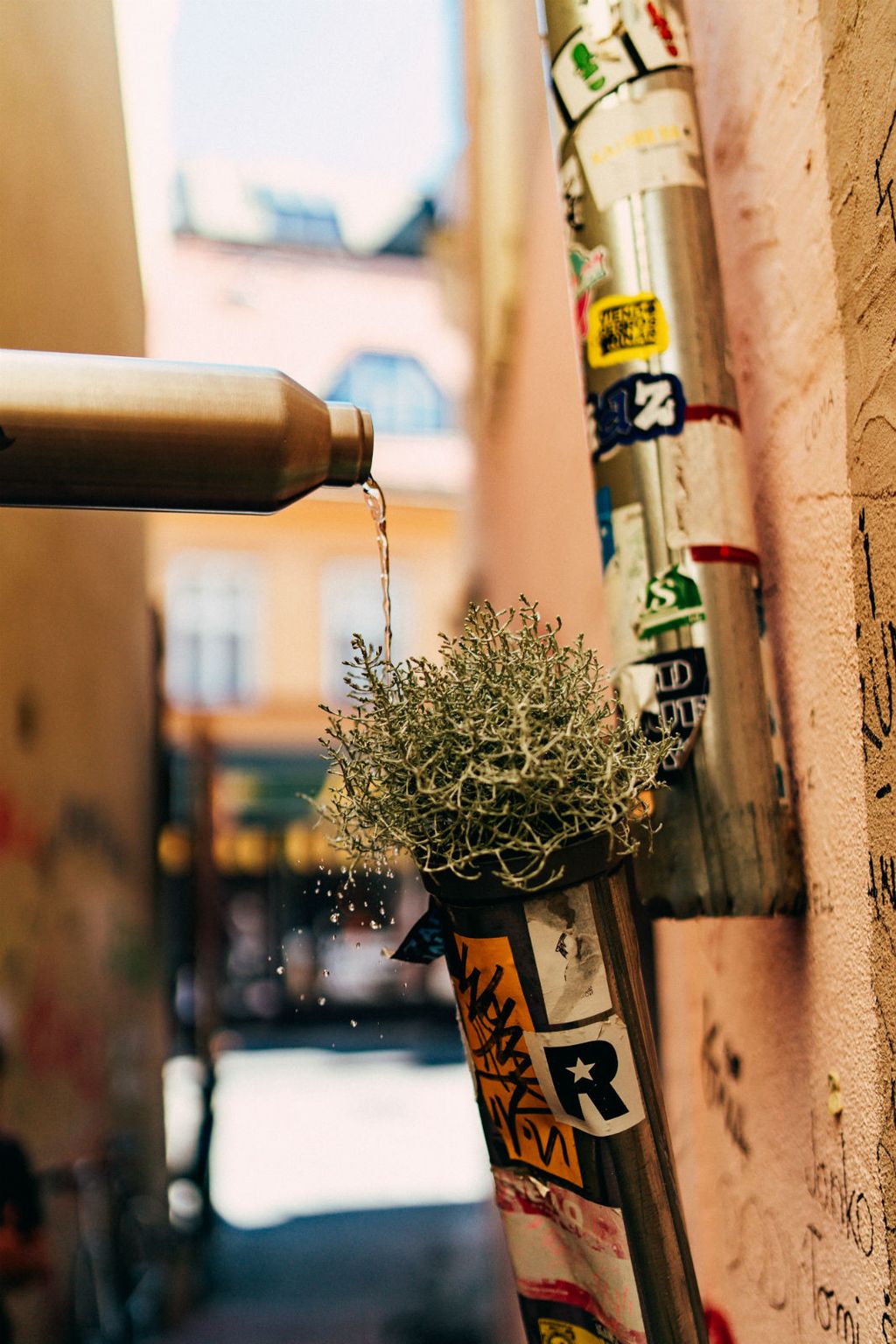 Počelo je drugo izdanje umjetničkog projekta Okolo