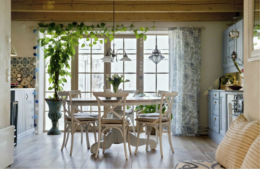 Ukrasno sobno bilje izgleda vrlo efektno i u kuhinji - 6