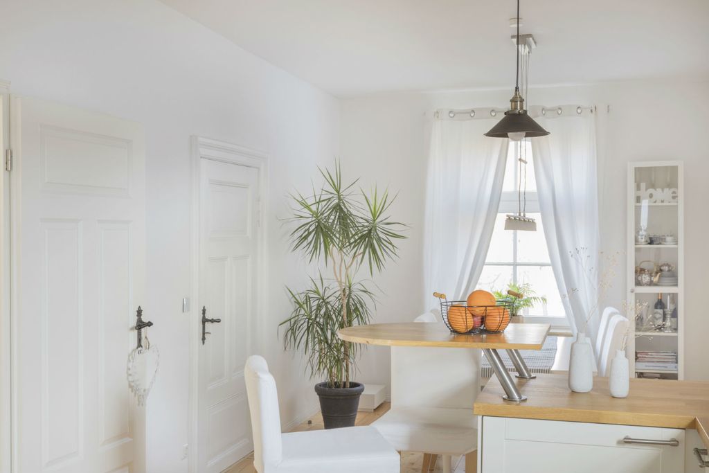 Ukrasno sobno bilje izgleda vrlo efektno i u kuhinji - 9