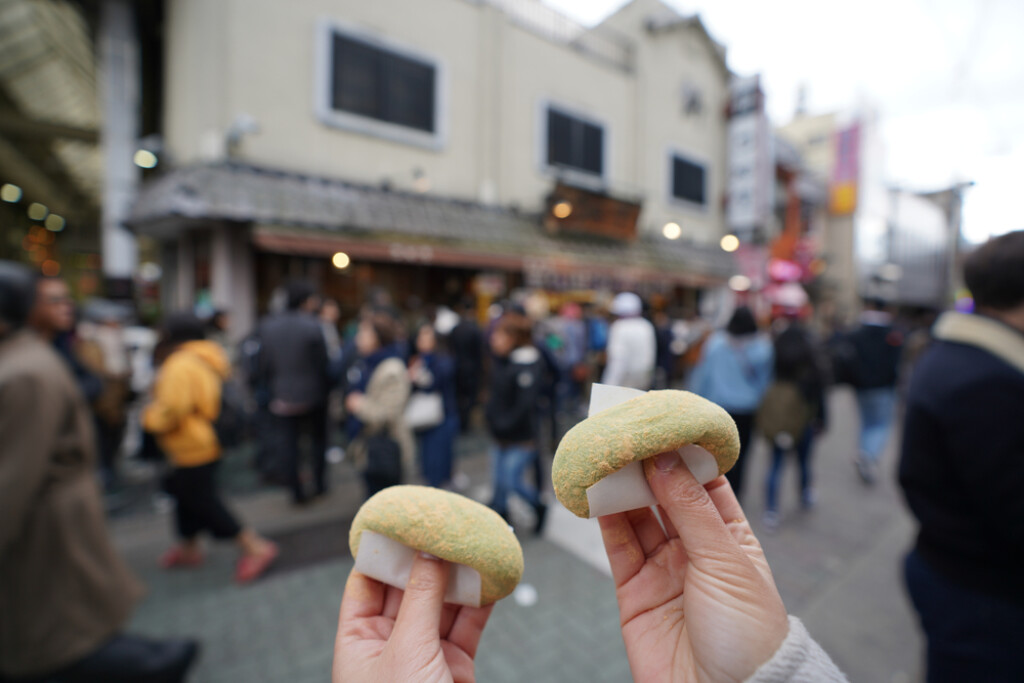 Mochi - 1