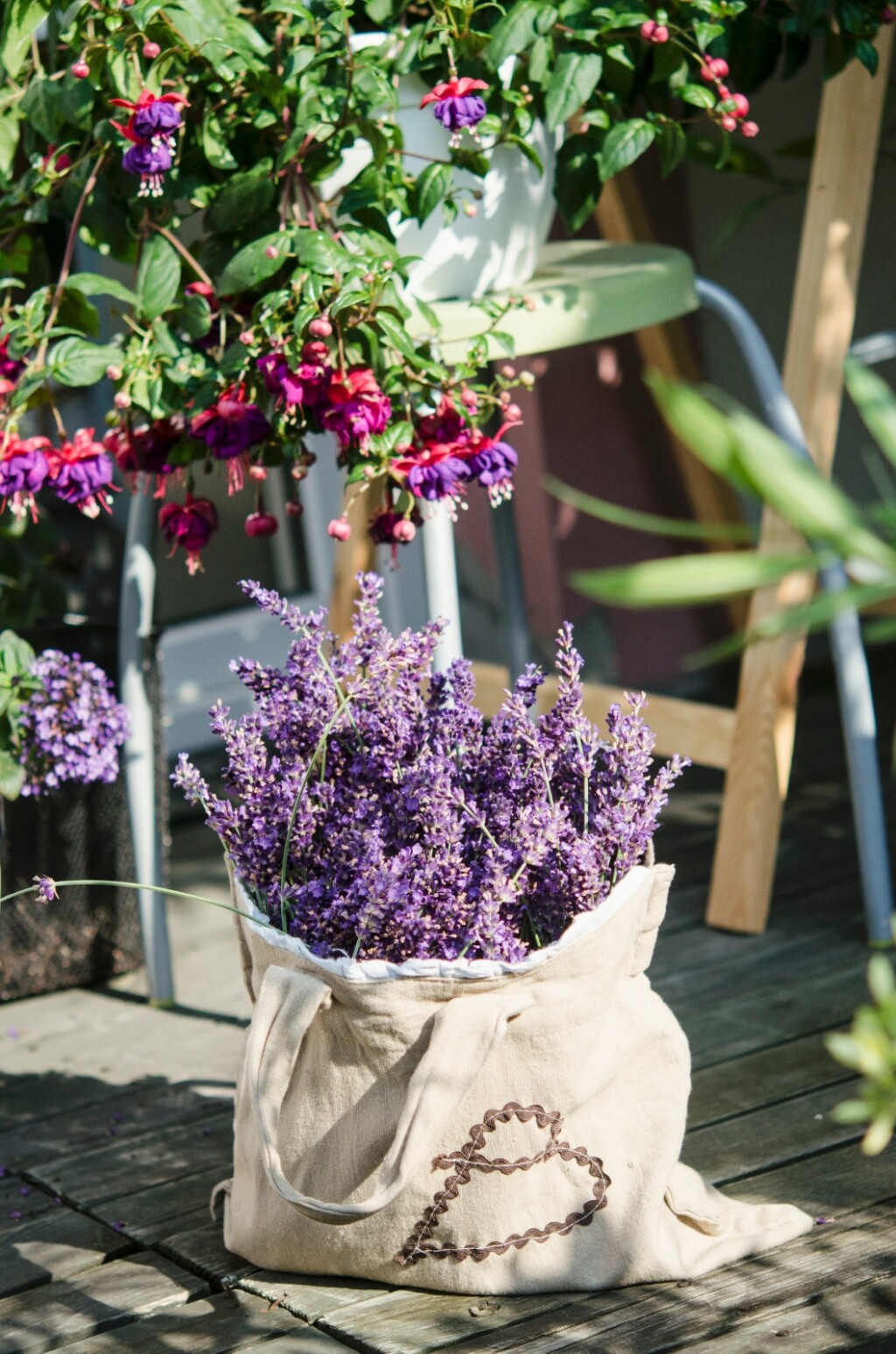 Lavanda