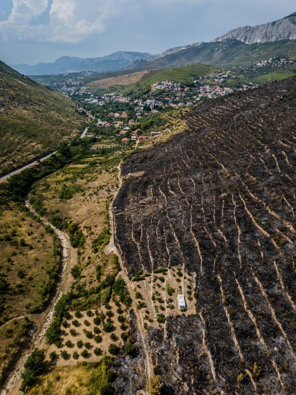 Parcela kod Žrnovnice koju je požar zaobišao