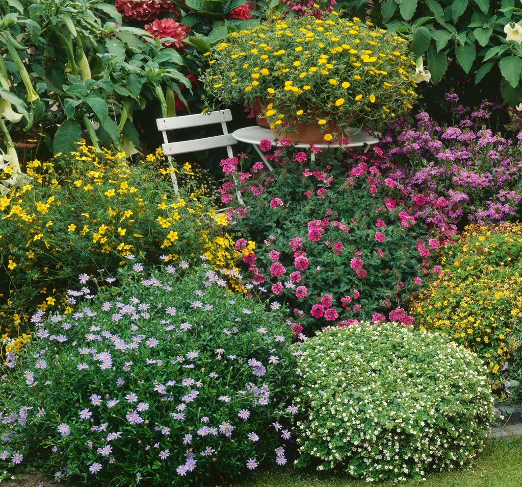 Bujan vrt najesen stvara se ljeti