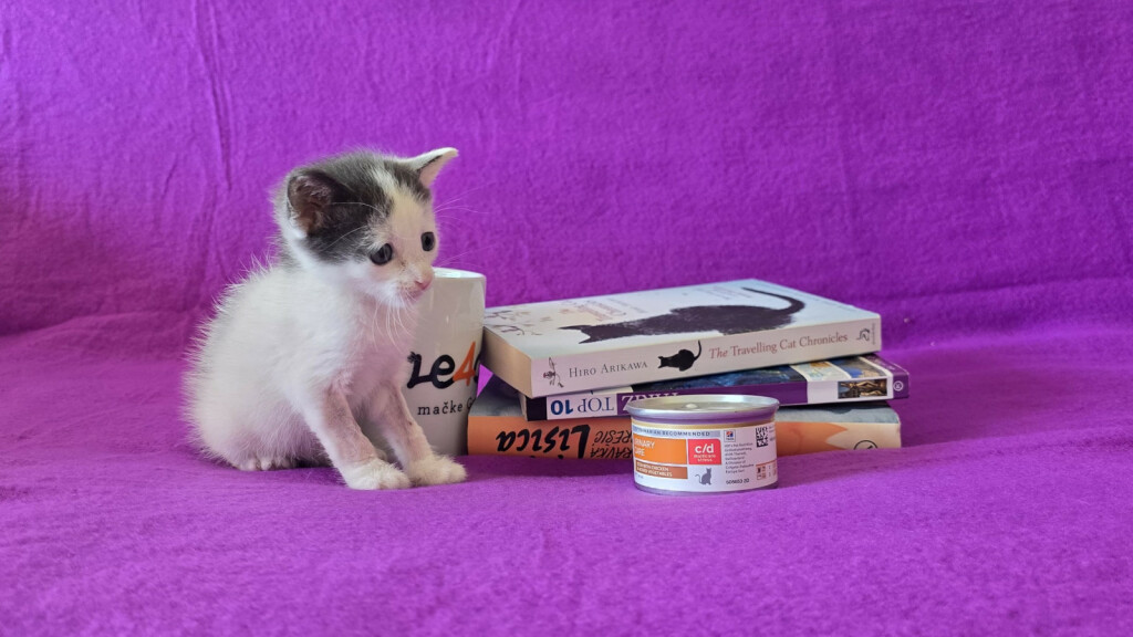 Prvi Dumovečki buvljak održat će se u petak - 3