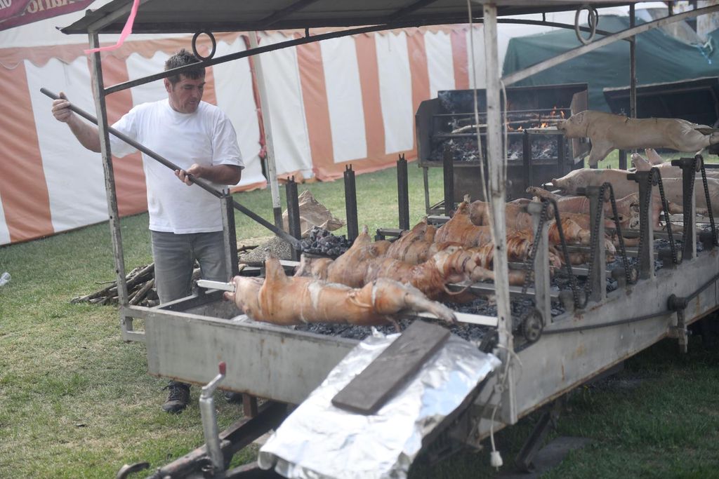 Sinj prije koncerta Thompsona - 7