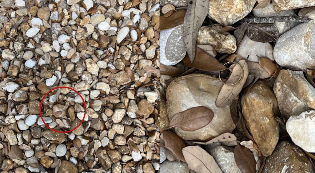 Šljunak i žena koja nešto traži