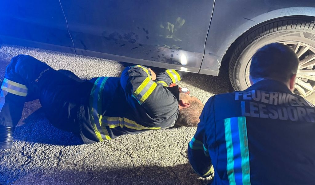 Austrijski vatrogasci spasili su mačku iz motora automobila - 1