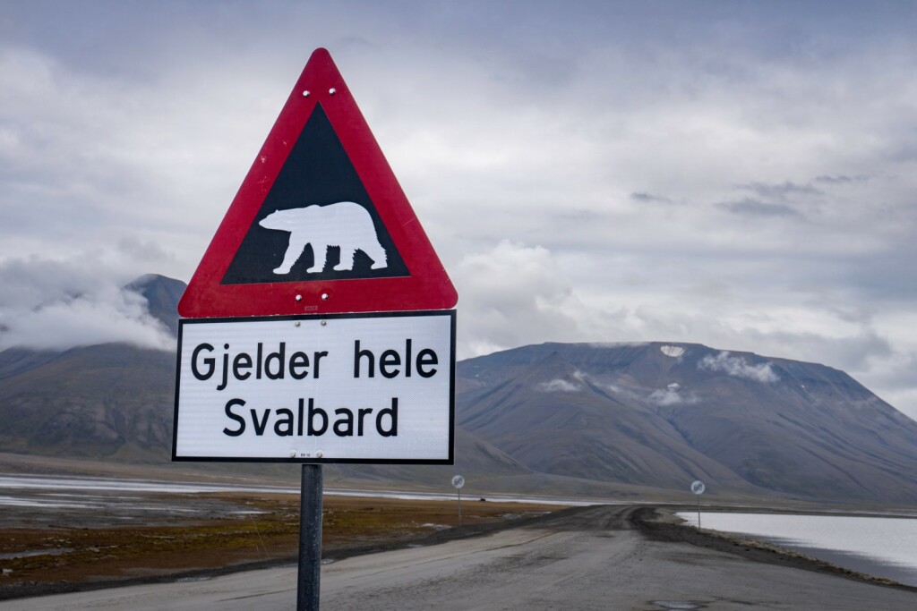 Opasnost od napada polarnih medvjeda je velika na Svalbardu