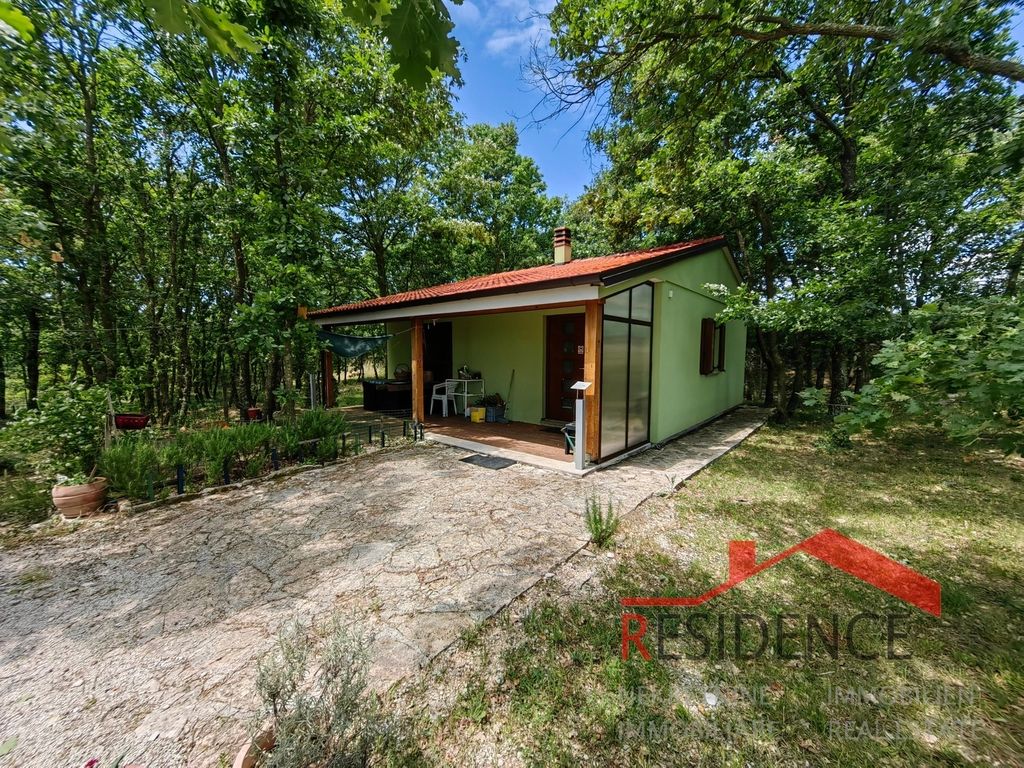 Vila u okolici Svetvinčenta