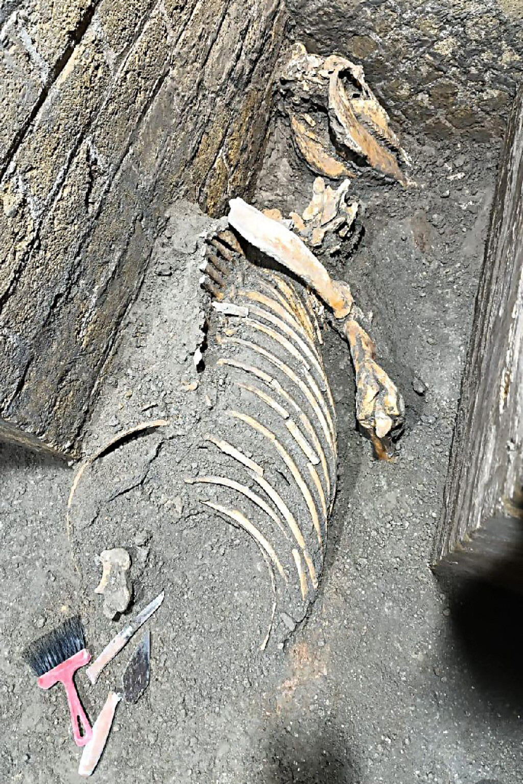 Novi dokazi upućuju da su se neki vratili u Pompeje nakon erupcije Vezuva